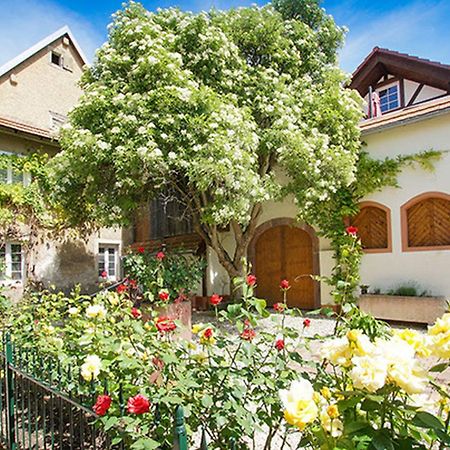 Ferienwohnungen Altes Rathaus Vogtsburg Dış mekan fotoğraf